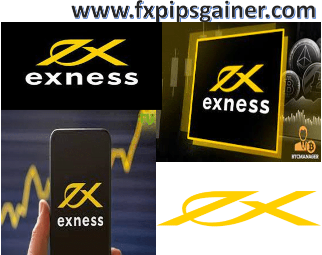 Exploring the Opportunities of Bitcoin Trading Exness
